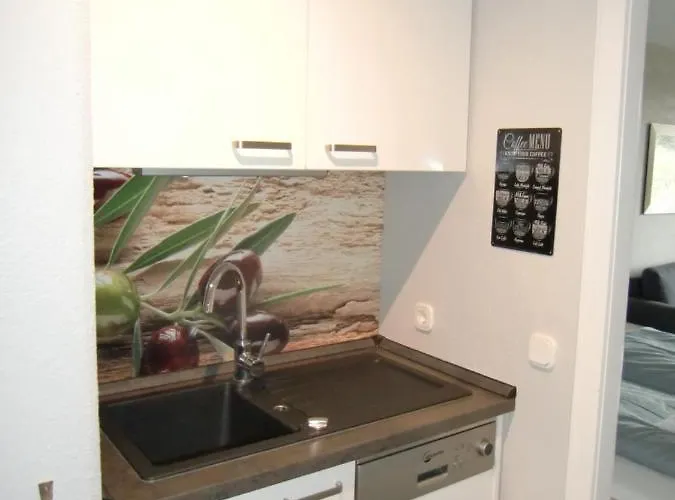 Haus Am Hs 576 公寓 戈斯拉尔