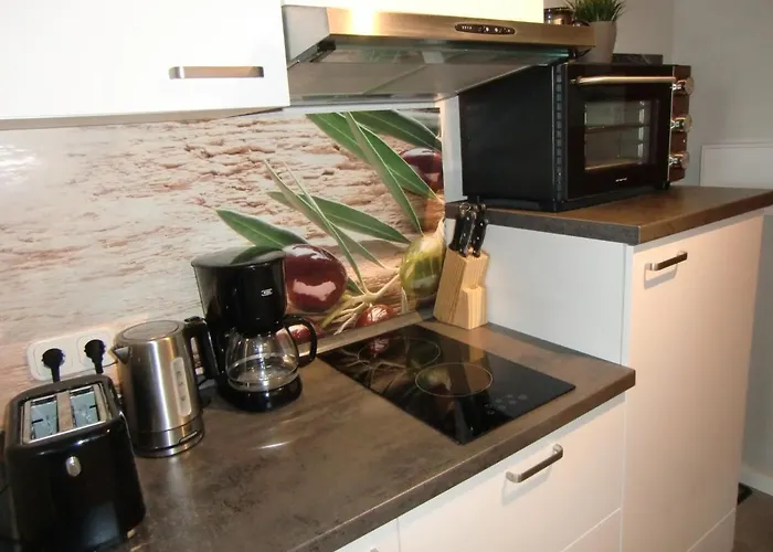 公寓 Haus Am Hs 576 戈斯拉尔